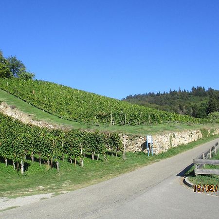 Ferienwohnung Am Sulzbach ซูลซ์บูร์ก ภายนอก รูปภาพ