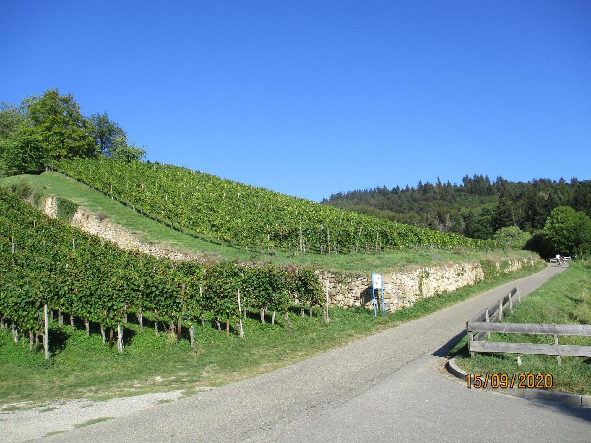 Ferienwohnung Am Sulzbach ซูลซ์บูร์ก ภายนอก รูปภาพ